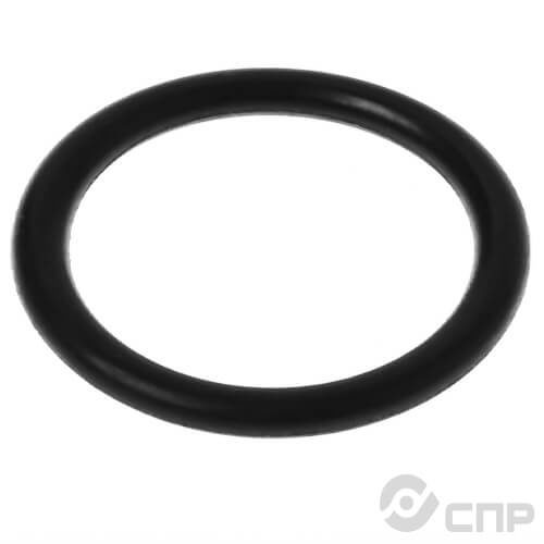 Кольцо круглого сечения 018-021-19 ГОСТ 9833-73 Кольцо круглого сечения 018-021-19 ГОСТ 9833-73